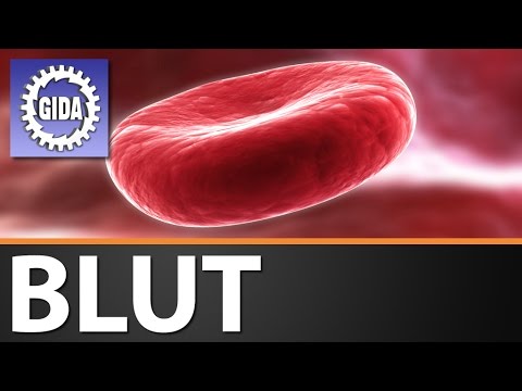 Trailer - Blut - Biologie - Schulfilm